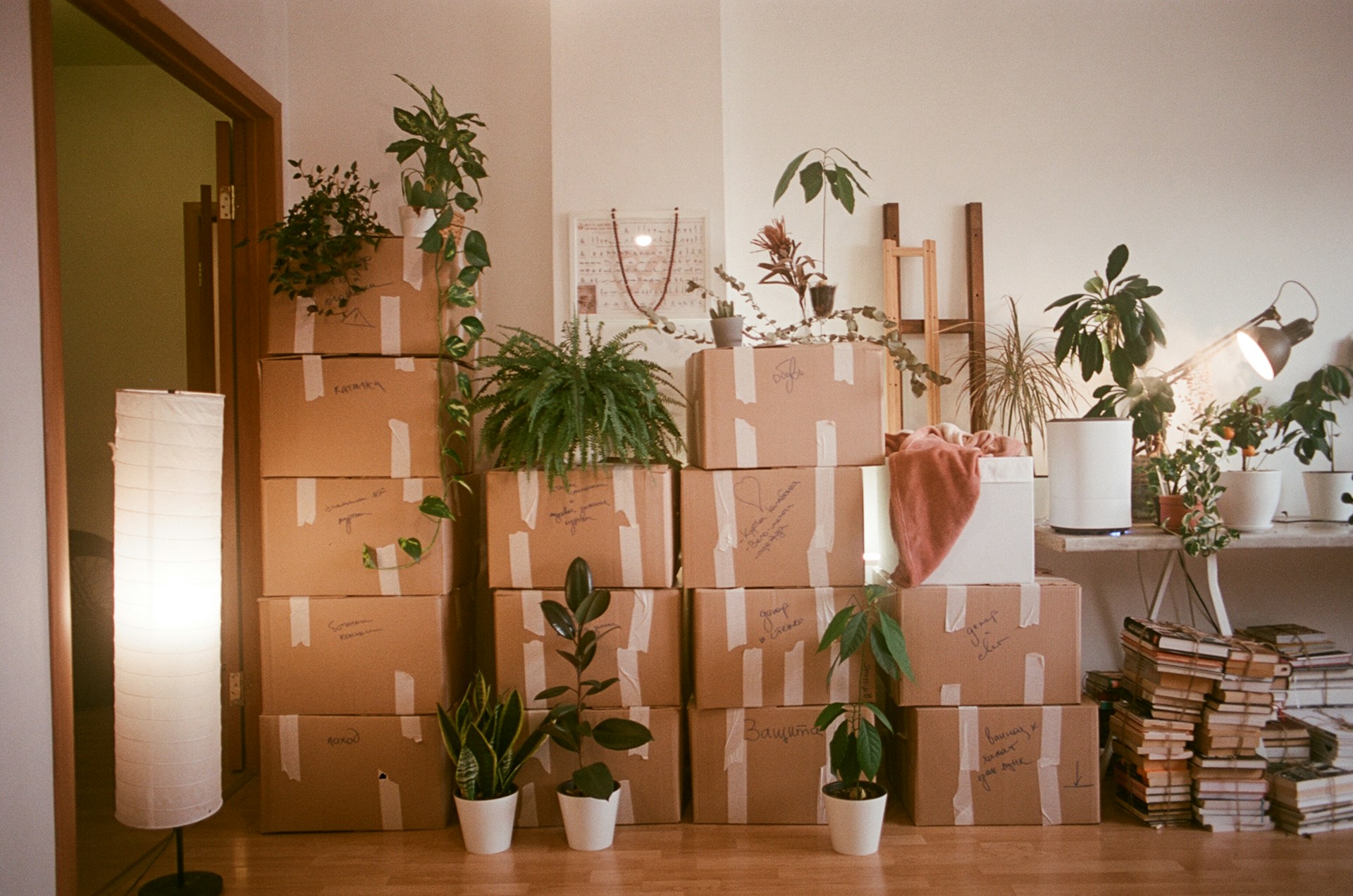 How to pack a house room by room for moving